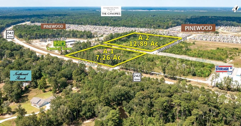 Photo of TBD Hwy 242 And Big Rivers Road, New Caney, TX 77357 (MLS # 38944683)