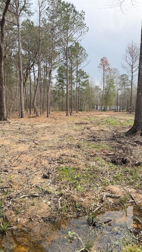 Vacant Land For Sale - Dogwood Trail<br/> Shepherd, TX 77371