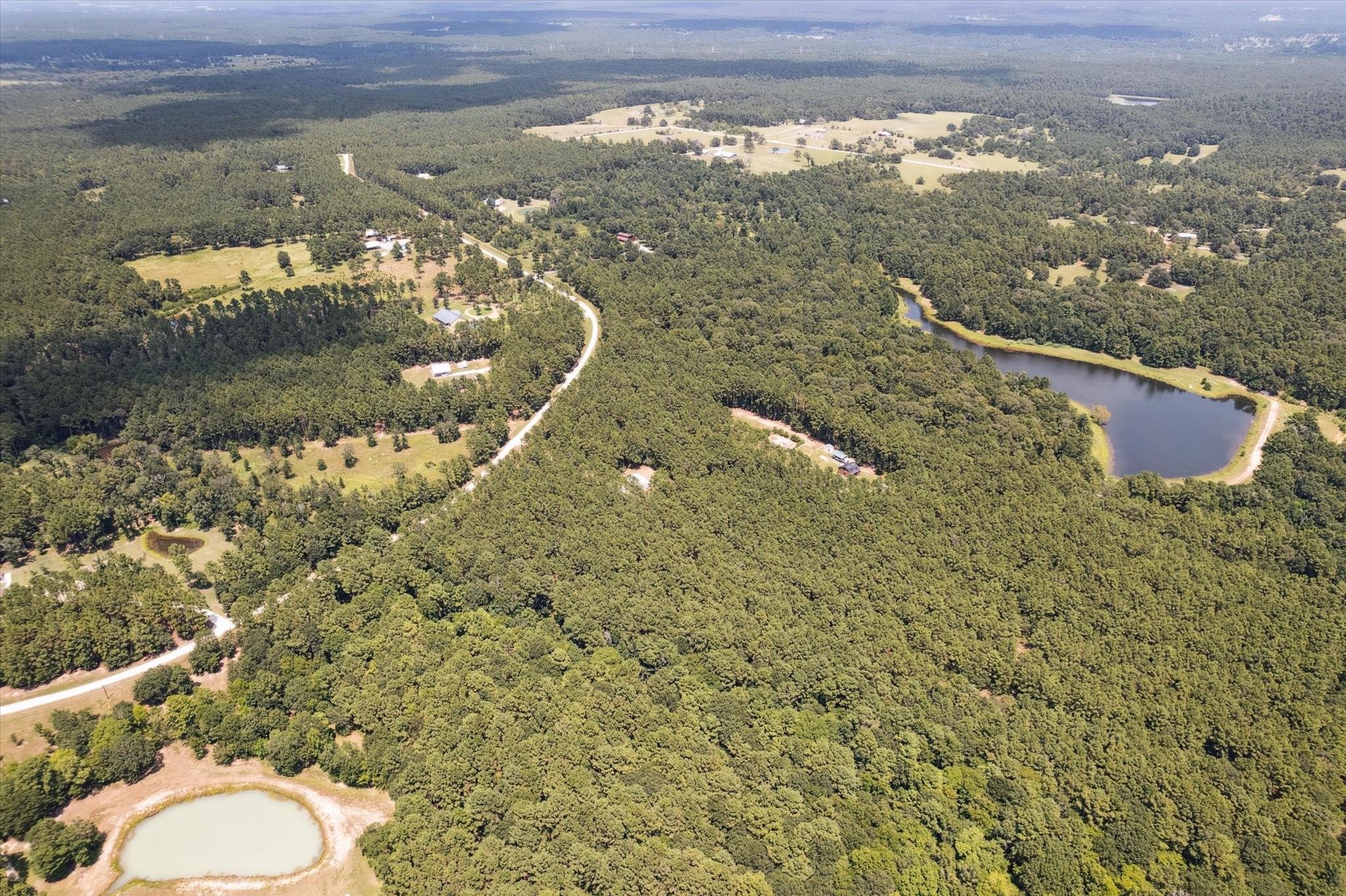 4970 Deep Forest Trail