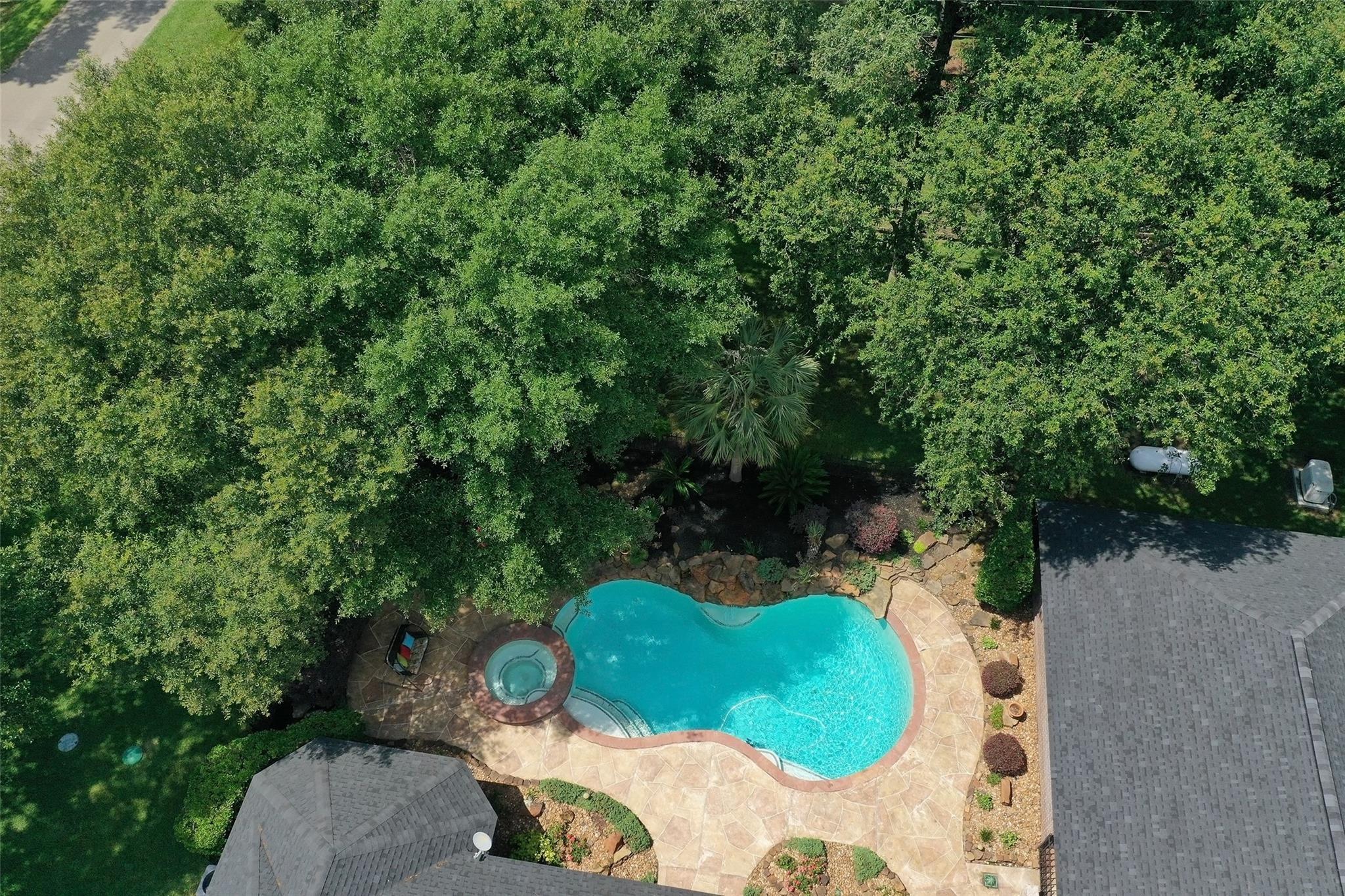 25003 Silver Leaf Street