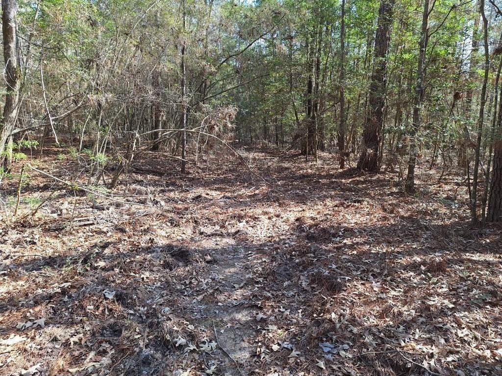 TBD County Road 2845