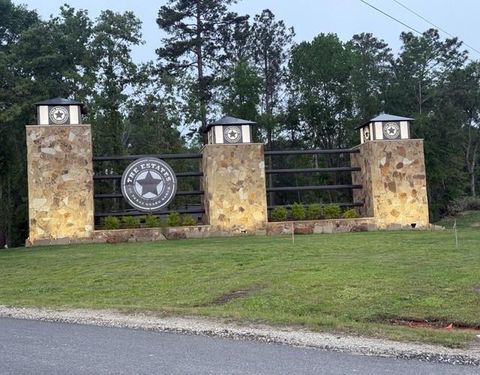 Photo of 160 Heartland Road, New Waverly, TX 77358 (MLS # 61480135)