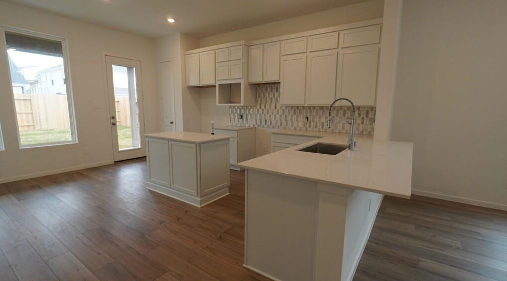 16315 Mesquite Field Drive