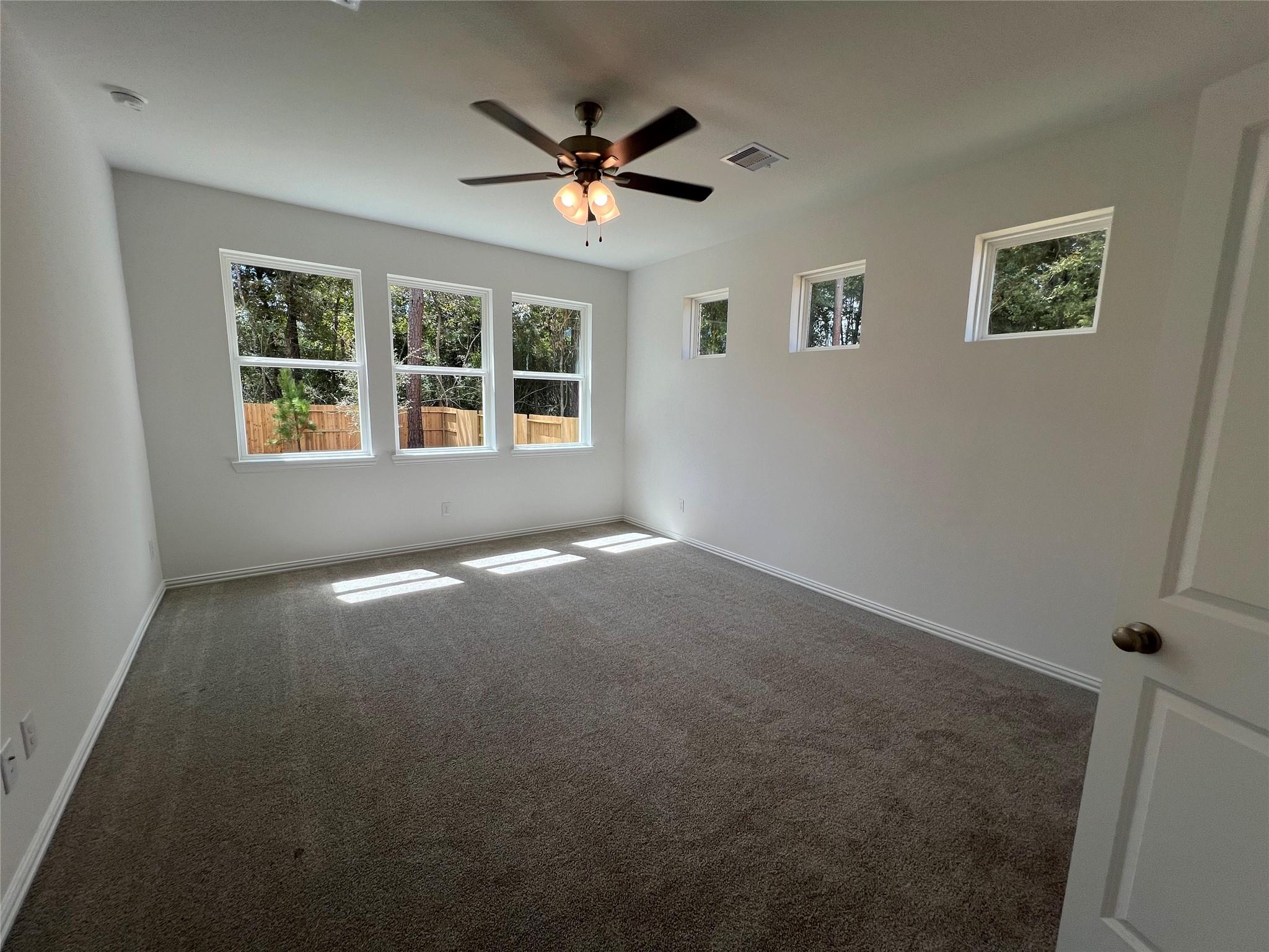 251 Brecon Buff Drive