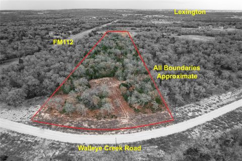 Photo of 1215 Walleye Creek Trail Trl, Lexington, TX 78947 (MLS # 14859542)