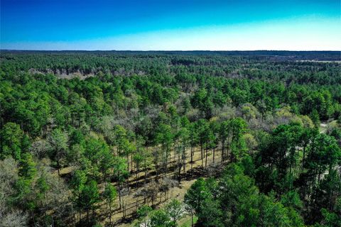 Photo of 97 Utley Road, Huntsville, TX 77320 (MLS # 15817998)