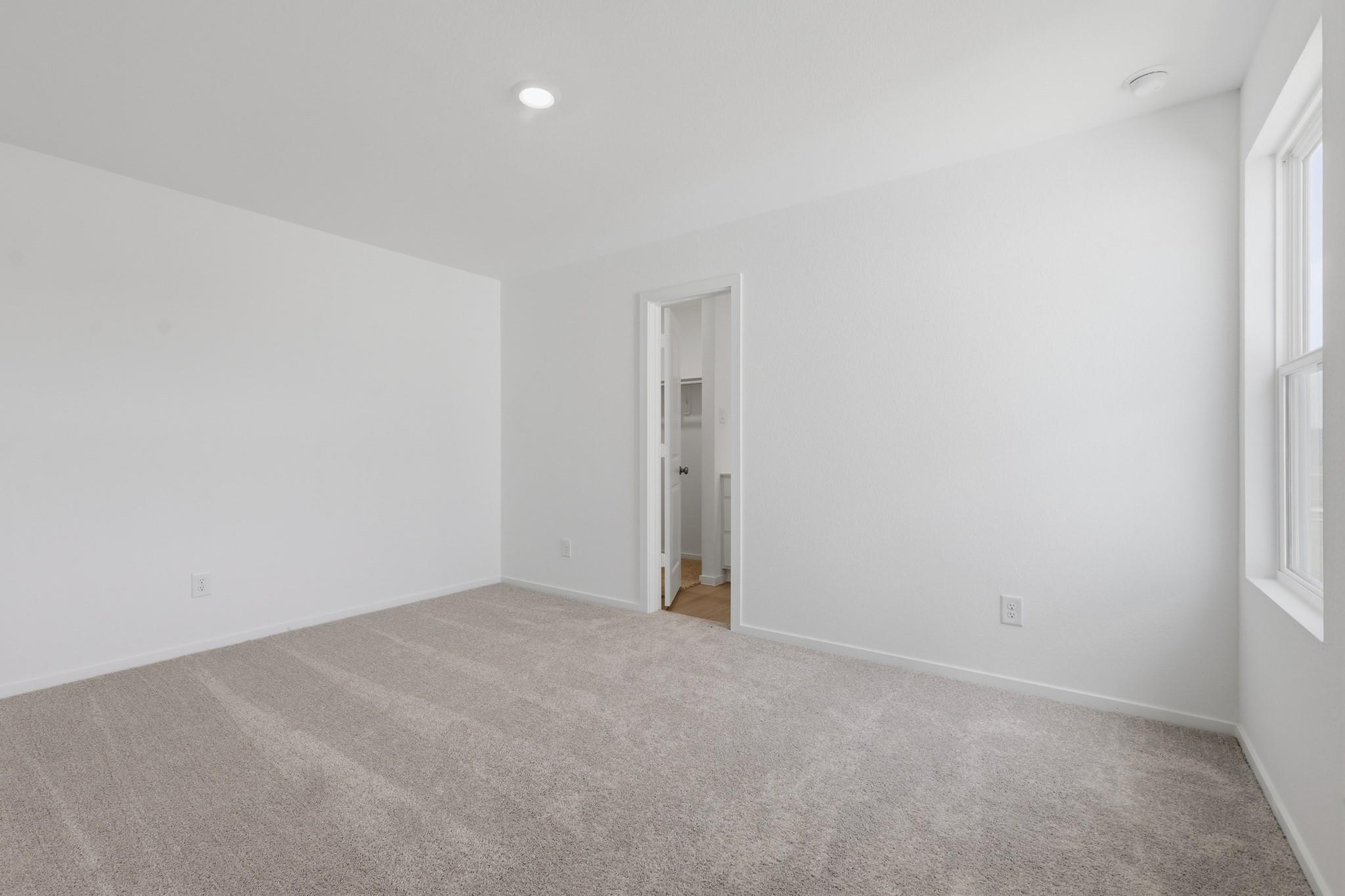20166 Green Mallard Street