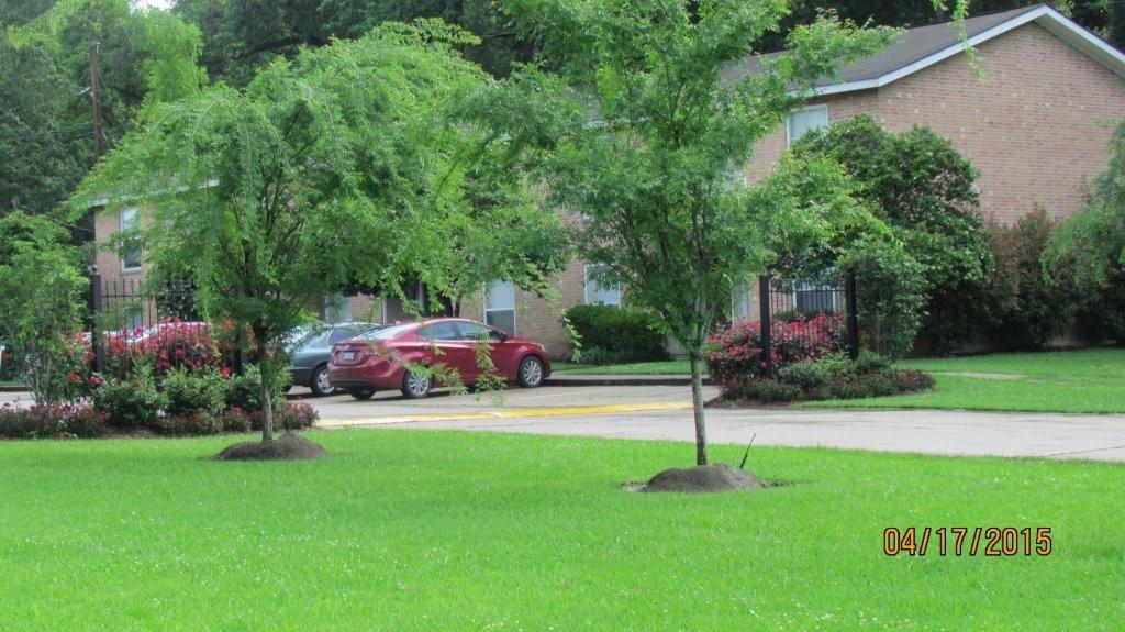 16161 Tiger Bend Road