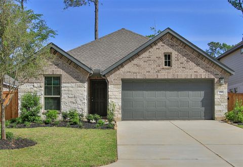 210 Brecon Buff Drive Willis TX 77318