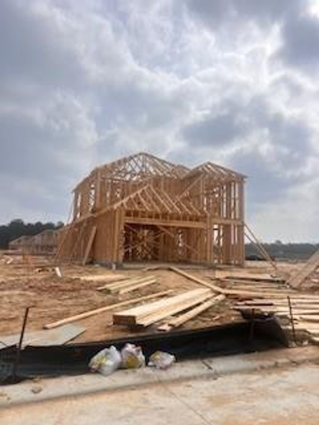 Photo of 222 Violet Crown Lane, New Caney, TX 77357 (MLS # 53013302)