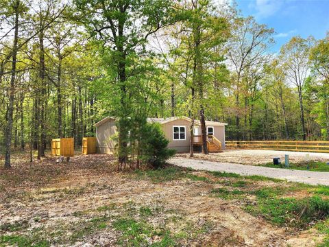 Photo of 1010 Hidden Oaks Drive, Point Blank, TX 77364 (MLS # 69233110)