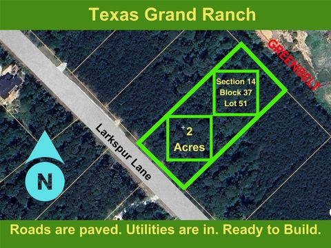 Photo of 14 Larkspur Lane, New Waverly, TX 77358 (MLS # 77101249)