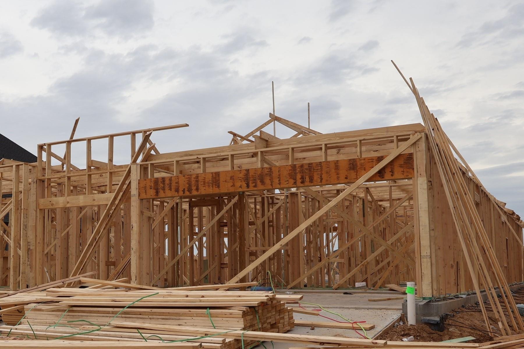 16242 Summer Aster Trail