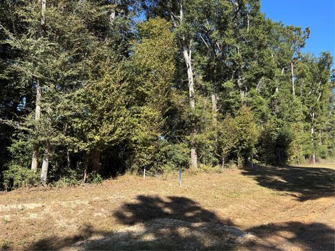 Photo of 0 L C Herschap Lane, Livingston, TX 77351 (MLS # 66132725) Photo of 0 L C Herschap Lane, Livingston, TX 77351 (MLS # 66132725)