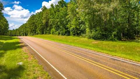 45 Acres Fm 229 Crockett TX 75835