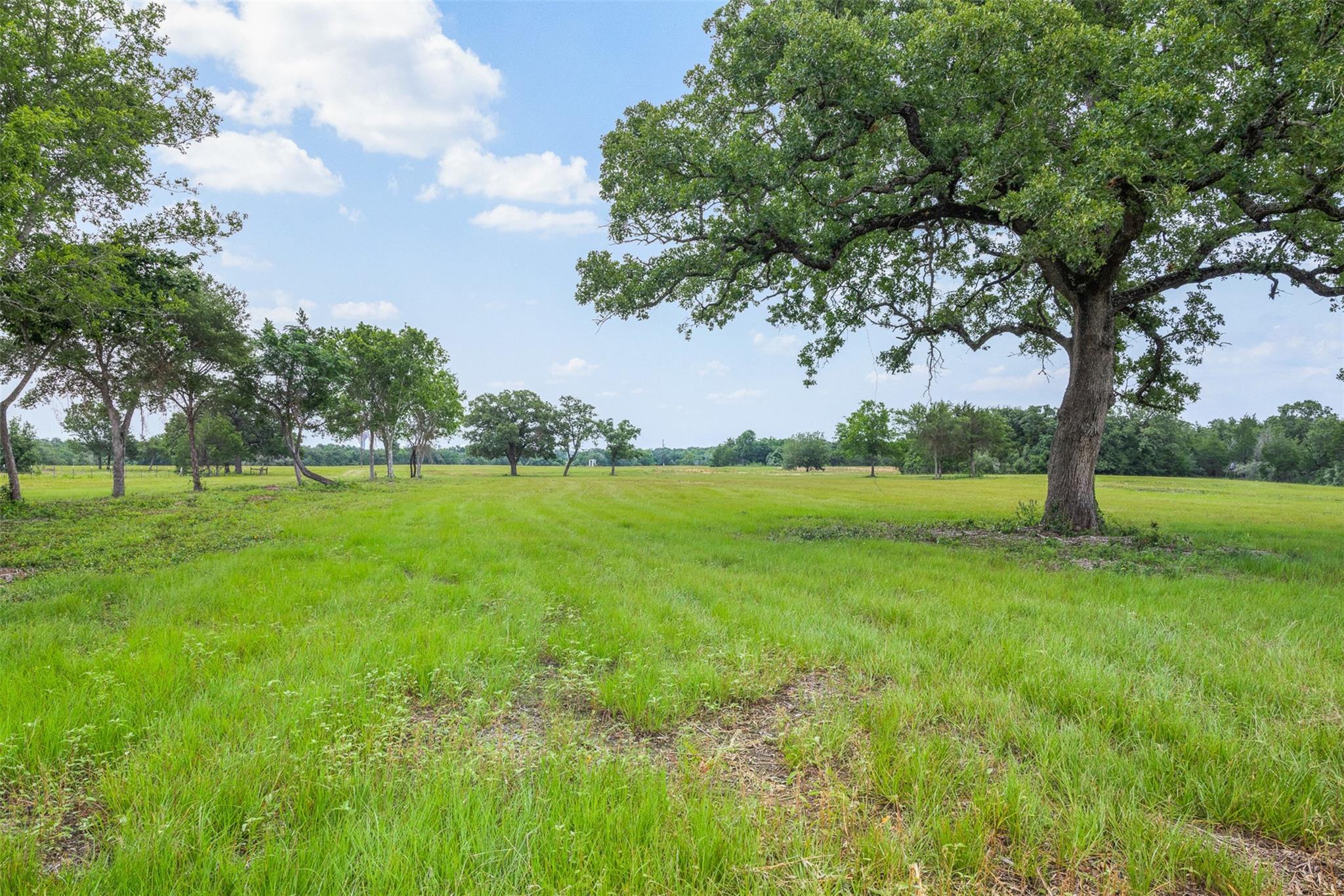 3320 County Road 430