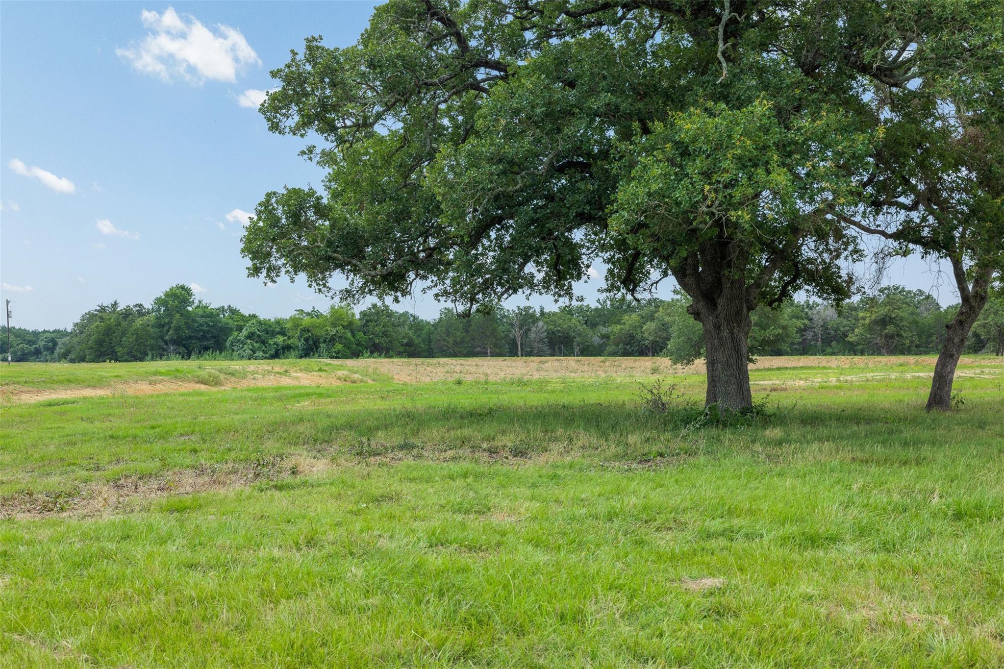 3320 County Road 430