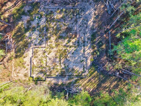 17539 Julianne Drive Waller TX 77484