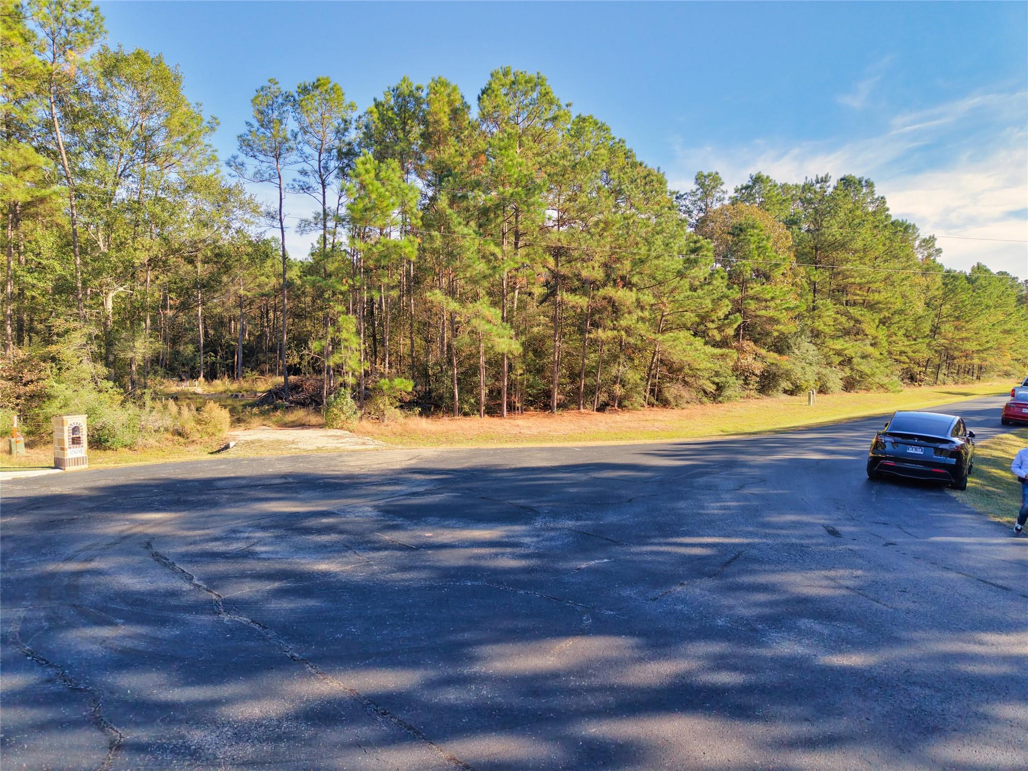 17539 Julianne Drive