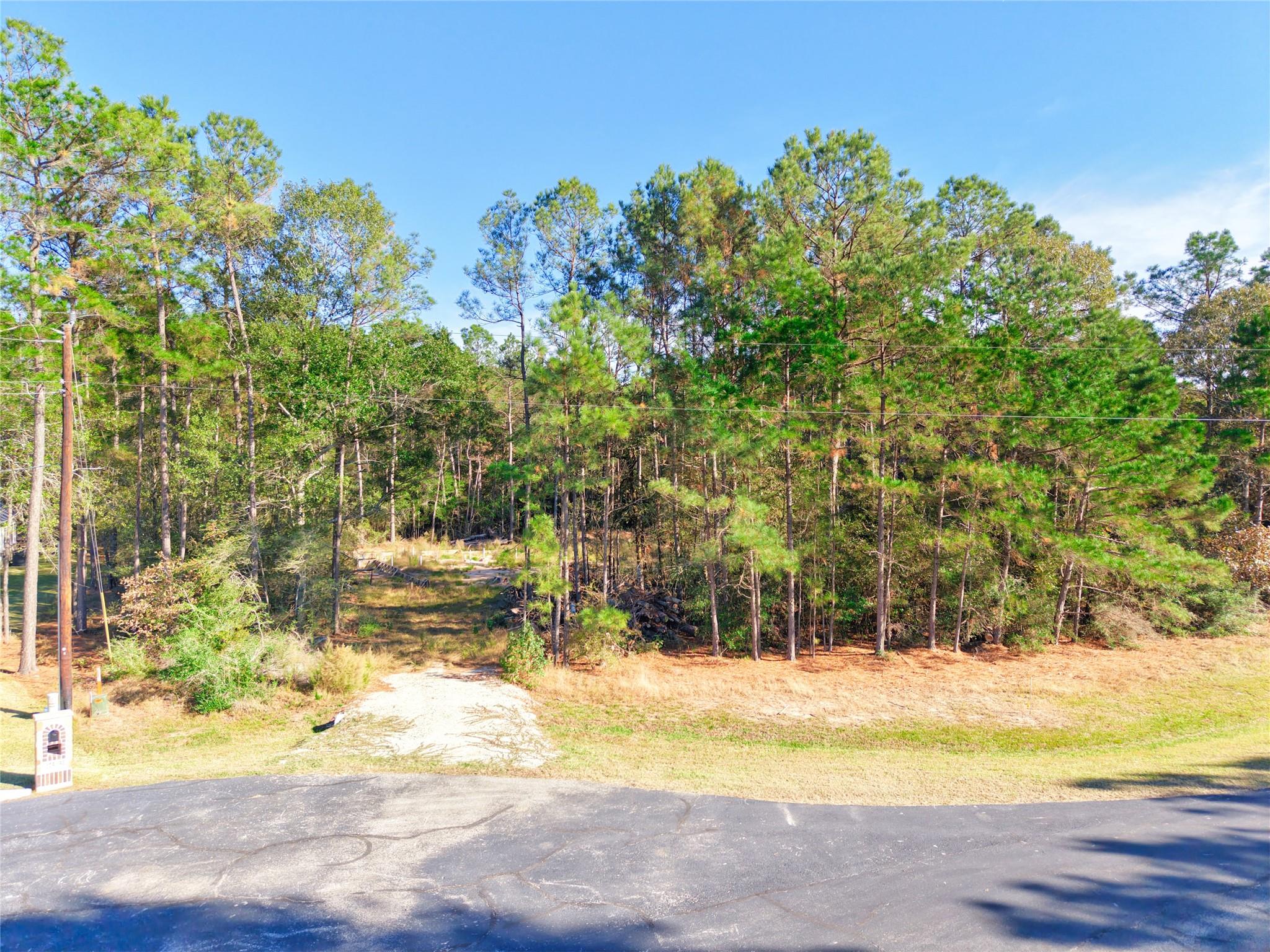 17539 Julianne Drive