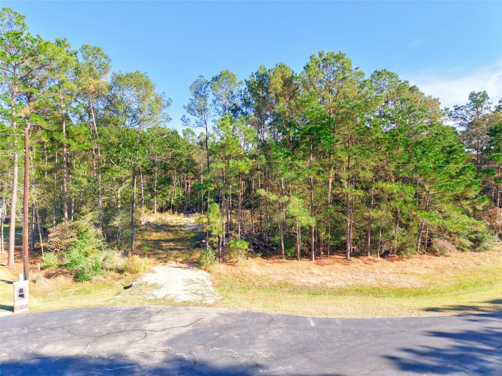 Photo of 17539 Julianne Drive, Waller, TX 77484 (MLS # 62467987)