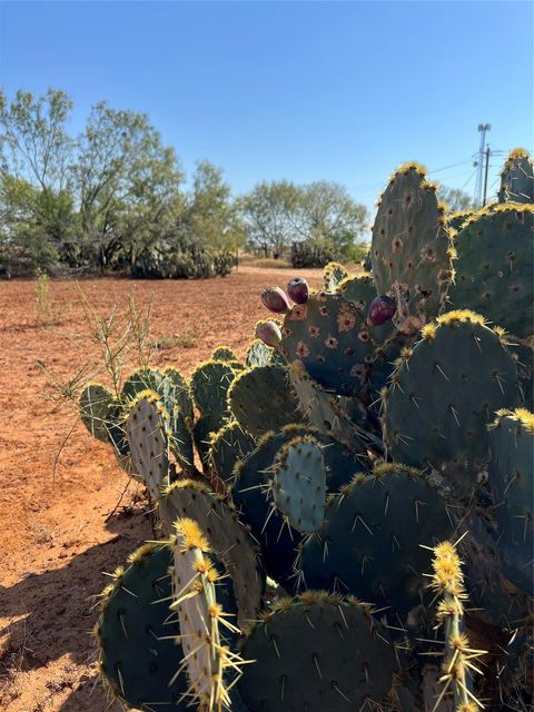 Photo of 50 Cr 321 Tract 15, Jourdanton, TX 78026 (MLS # 45978433)