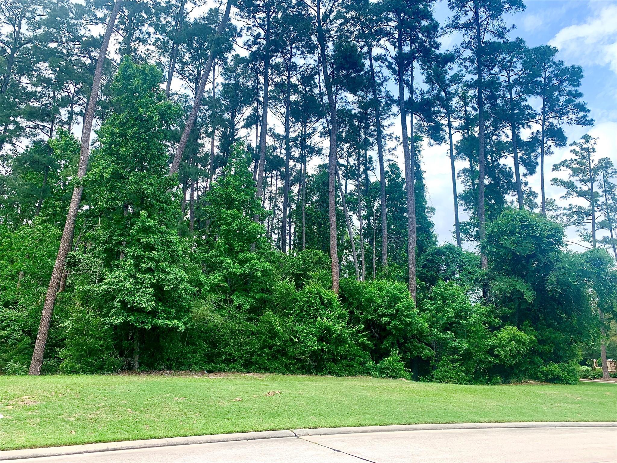 67 N Glenwild Circle