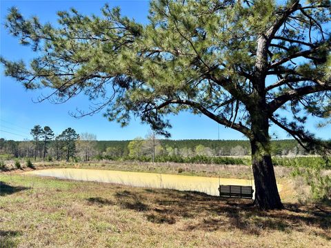 Vacant Land For Sale - 1105 County Road 3550<br/> Tyler County, Woodville, TX 75979