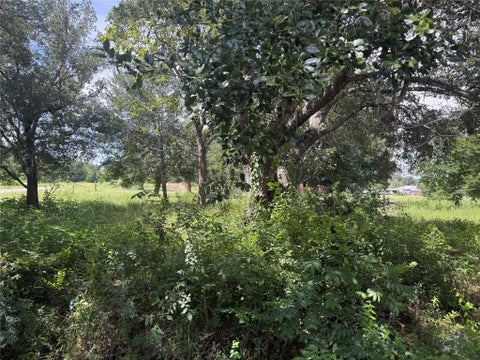 Vacant Land For Sale - 20704 Pearl Street<br/> Prairie View, TX 77484