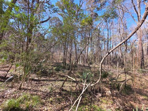 Vacant Land For Sale - TBD Blanks Bend<br/> Coldspring, TX 77331