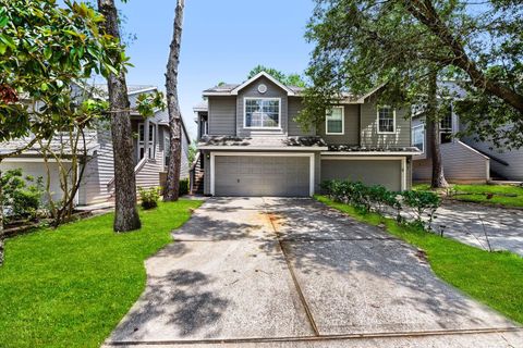 Photo of 11 Wineberry Place, Spring, TX 77382 (MLS # 4435909)
