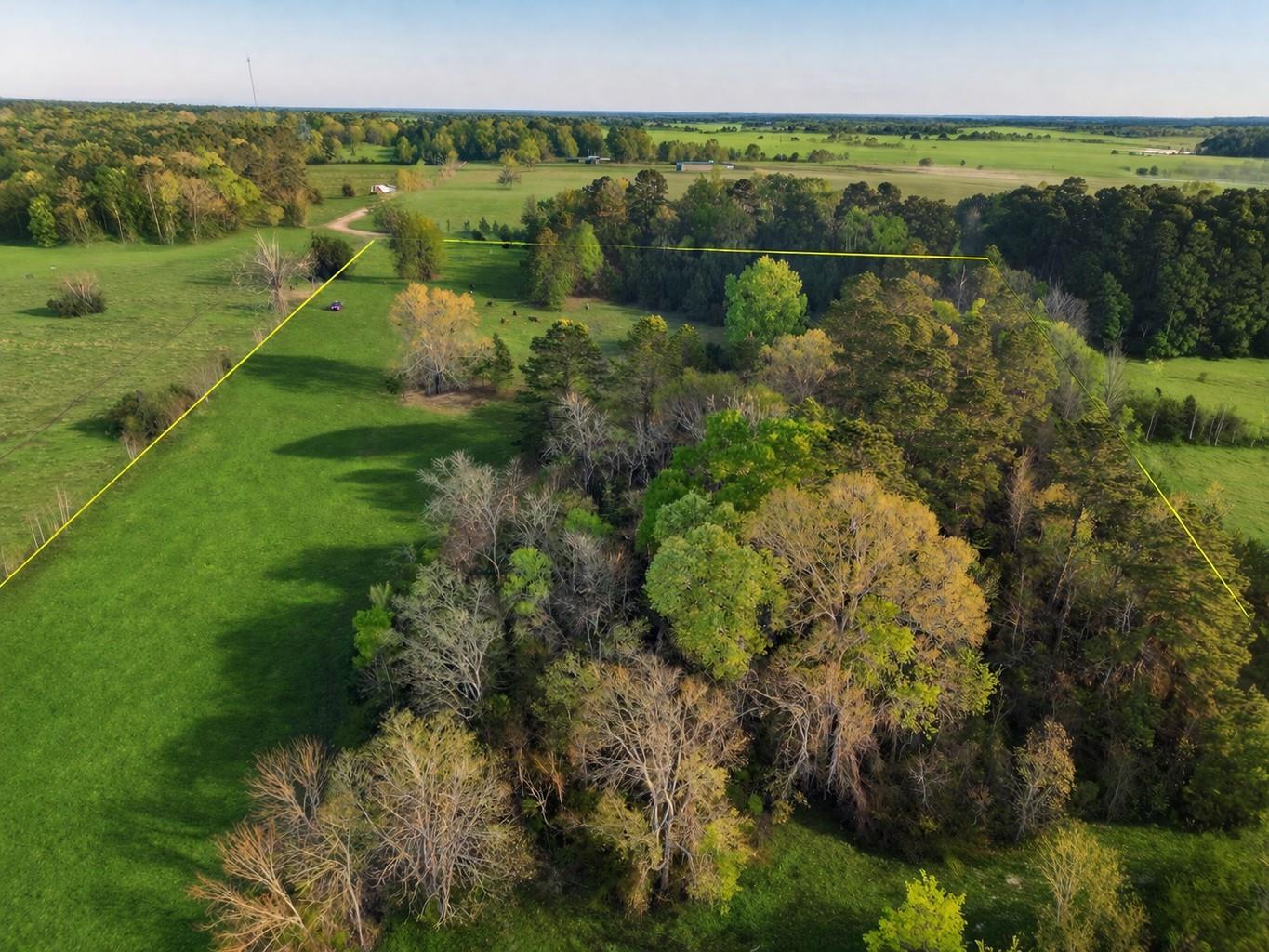 TBD Denson Allen Road