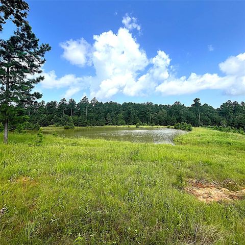 11833 Fm 1119 Leona TX 75850