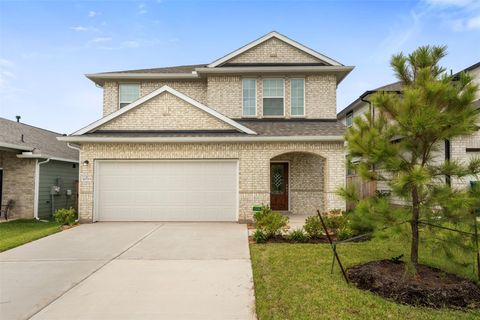 10783 Sora Drive Willis TX 77378