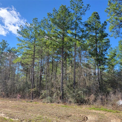 Vacant Land For Sale - 15835 Ridge Rock Road<br/> Montgomery County, Willis, TX 77378