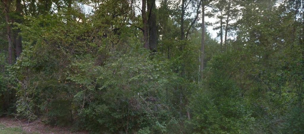 Photo of 0 Idle Wild Road, New Caney, TX 77357 (MLS # 96888109)