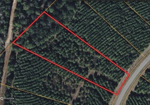 Photo of 15705 Ridge Rock Road, Willis, TX 77378 (MLS # 70884887)