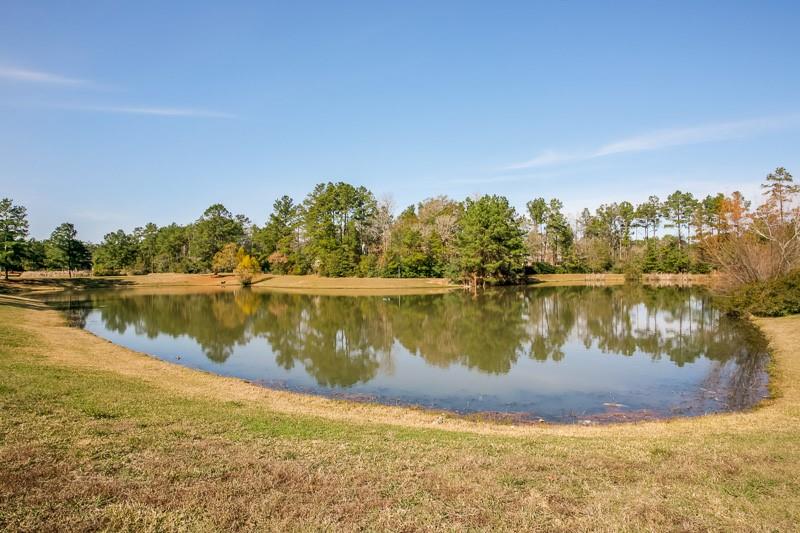 28915 Forest Hill Drive