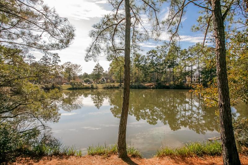 28915 Forest Hill Drive