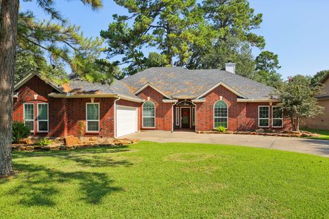 Photo of 3146 Lake Island Drive, Montgomery, TX 77356 (MLS # 31196676)