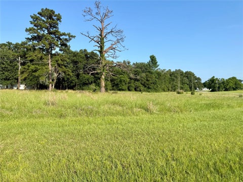Photo of TBD Hot Springs Drive, Trinity, TX 75862 (MLS # 80424869)