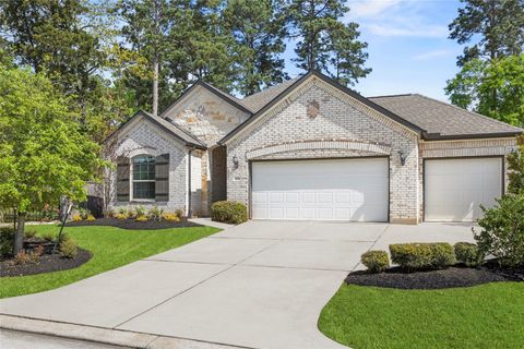 Photo of 168 Gray Pine Grove Way, Conroe, TX 77318 (MLS # 58781565)