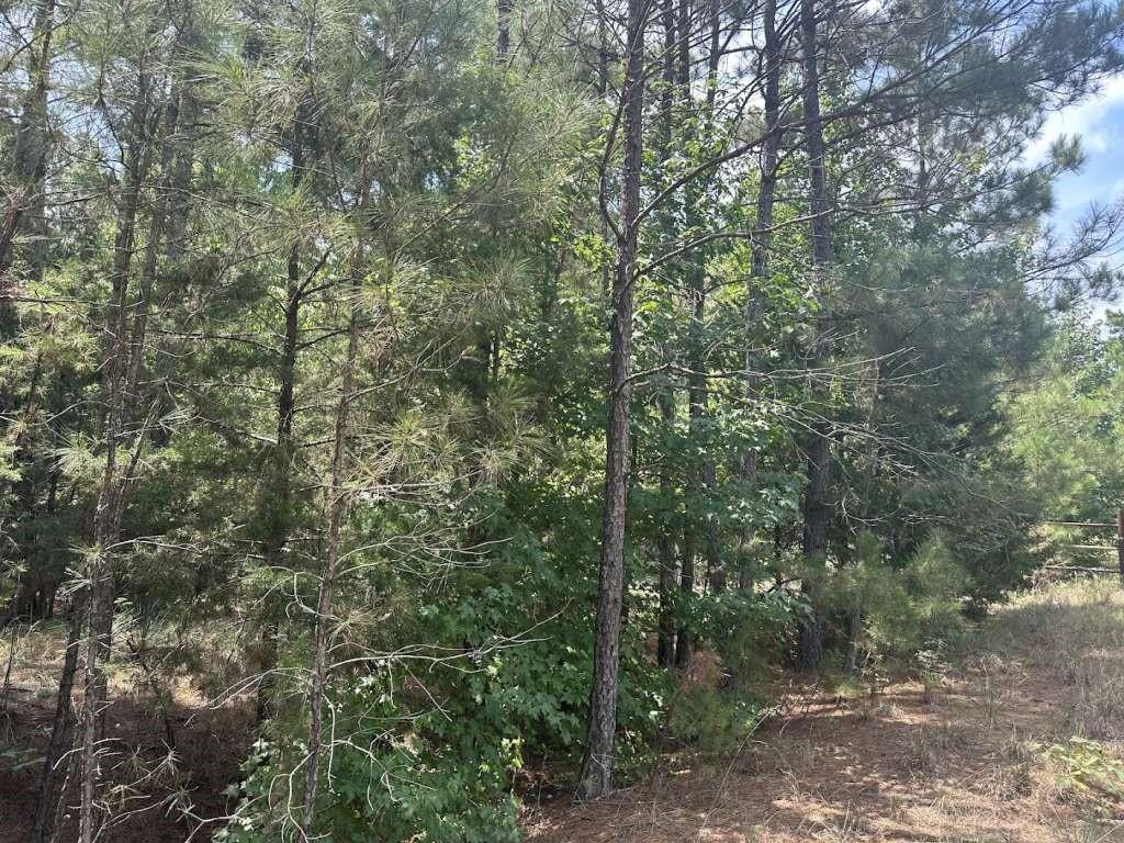 0 Victory School Road