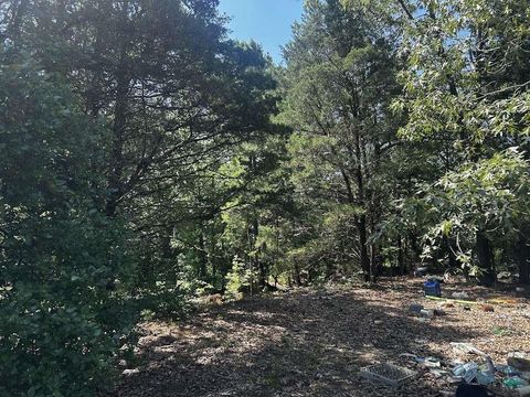 0 Victory School Road Avinger TX 75630