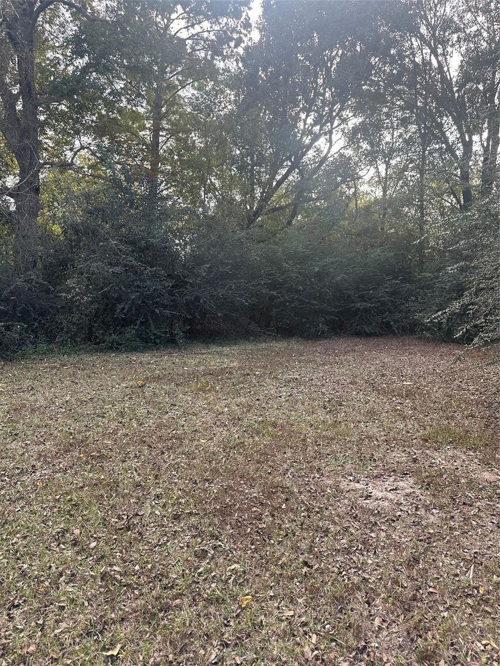 Photo of 0 Garden Drive, Beaumont, TX 77705 (MLS # 98275744)