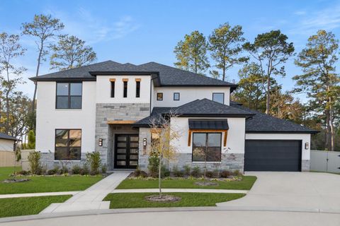 164 Shoveler Duck Way Magnolia TX 77354