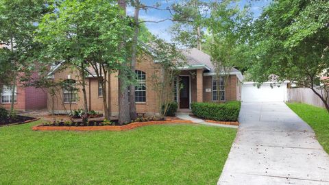 19 Long Springs Place The Woodlands TX 77382