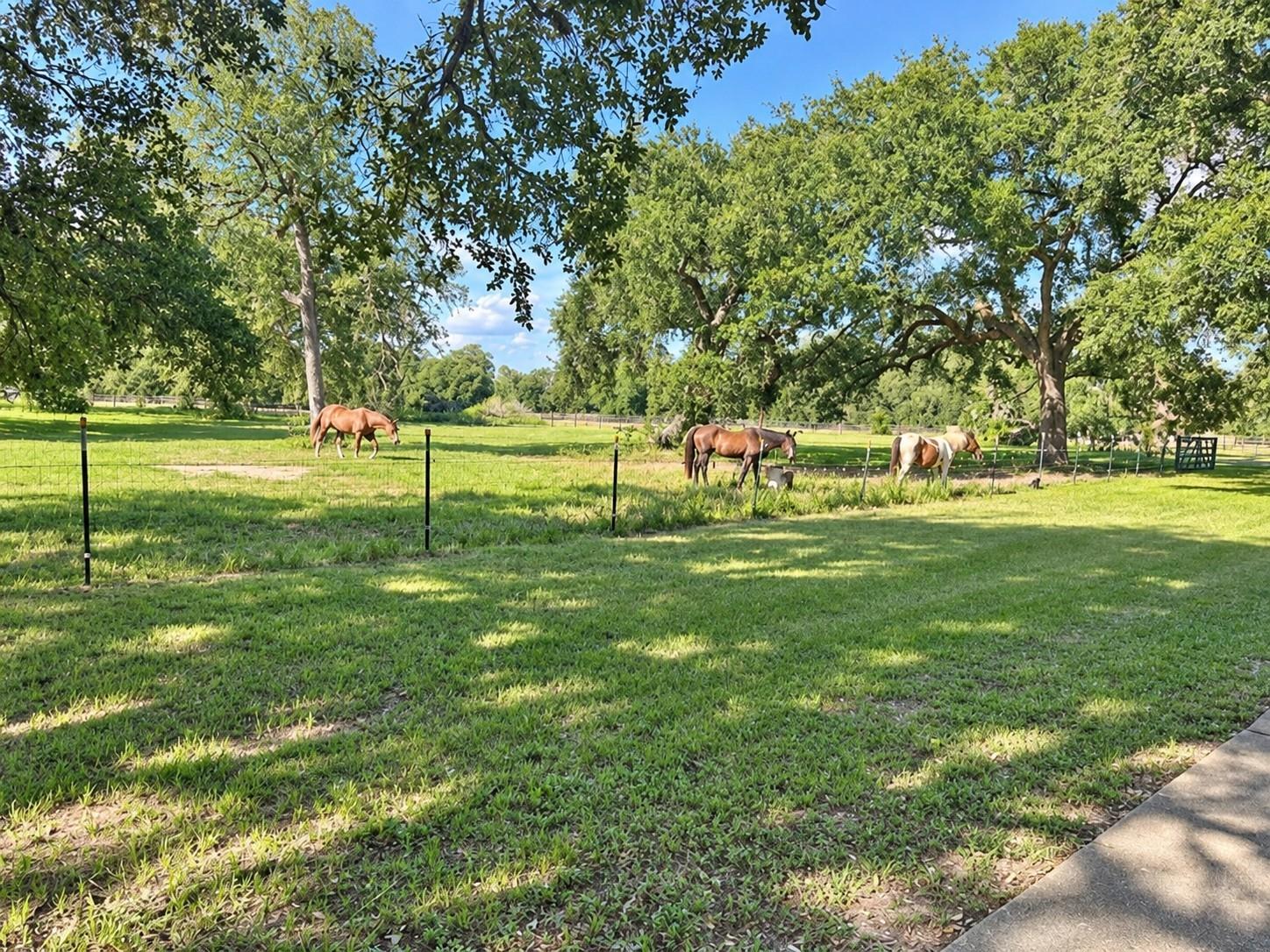 6510 Fm 3012 Road