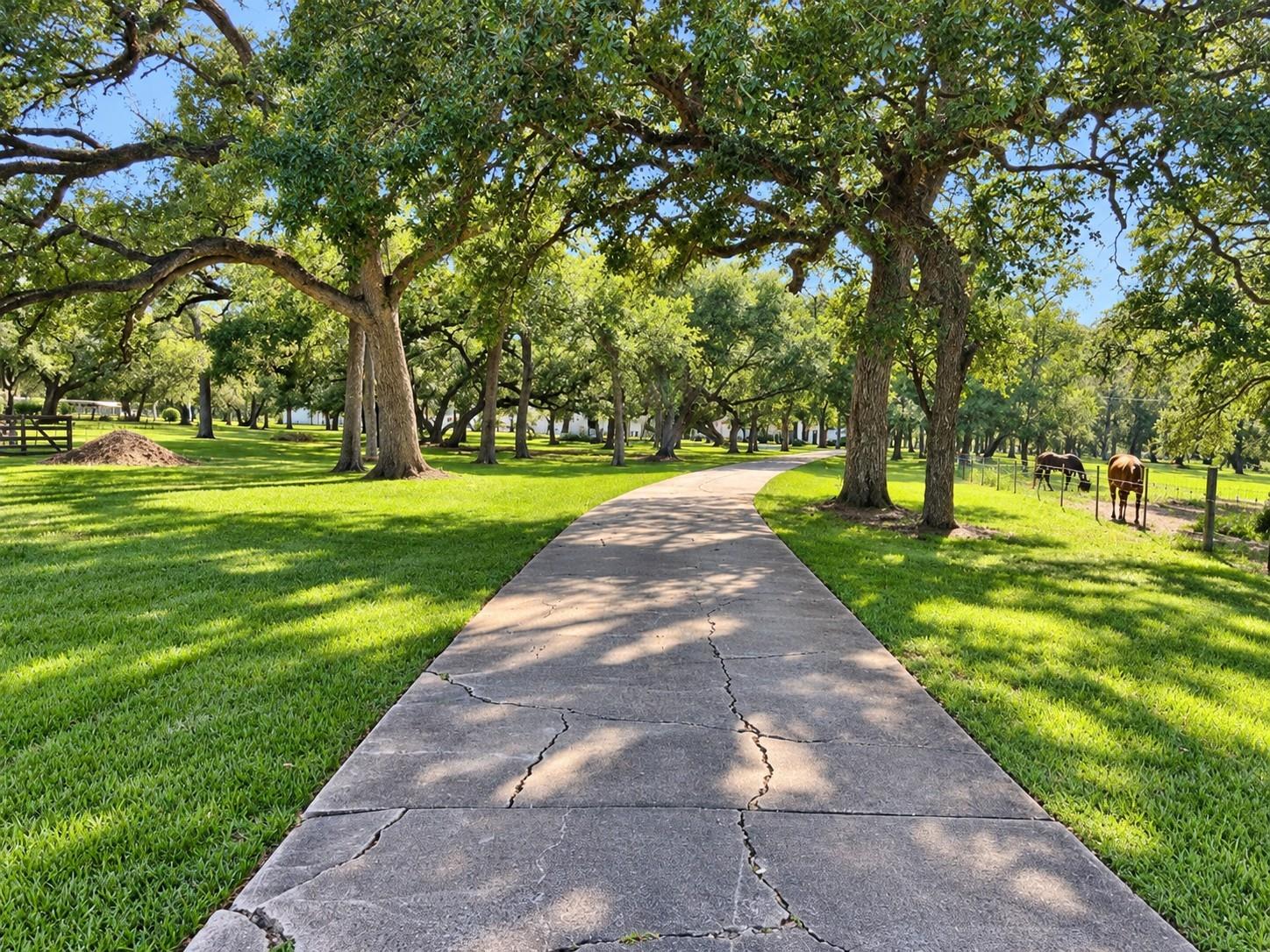 6510 Fm 3012 Road