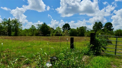 Photo of 7806 Mckeever Road, Pearland, TX 77584 (MLS # 3545910)